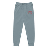 Unisex pigment-dyed sweatpants "Livid" Embroidery